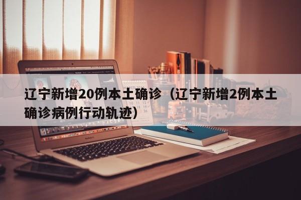 辽宁新增20例本土确诊（辽宁新增2例本土确诊病例行动轨迹）