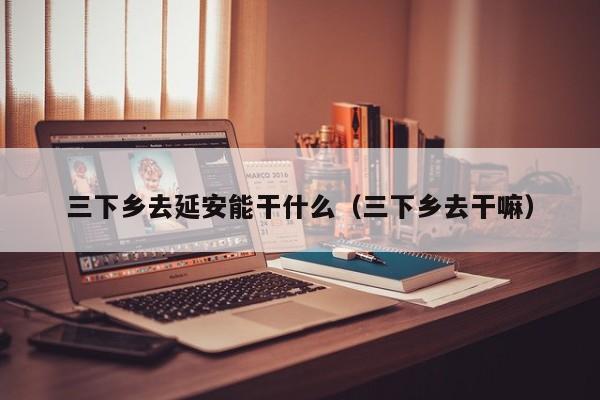 三下乡去延安能干什么（三下乡去干嘛）