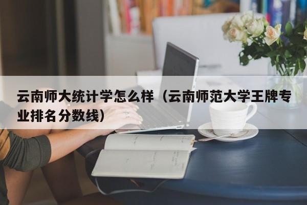 云南师大统计学怎么样（云南师范大学王牌专业排名分数线）