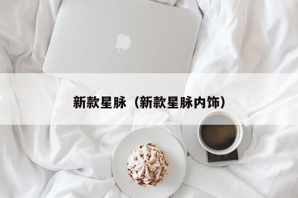 新款星脉（新款星脉内饰）