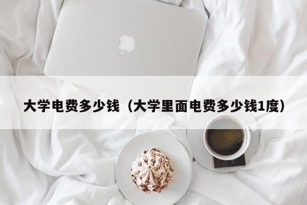 大学电费多少钱（大学里面电费多少钱1度）