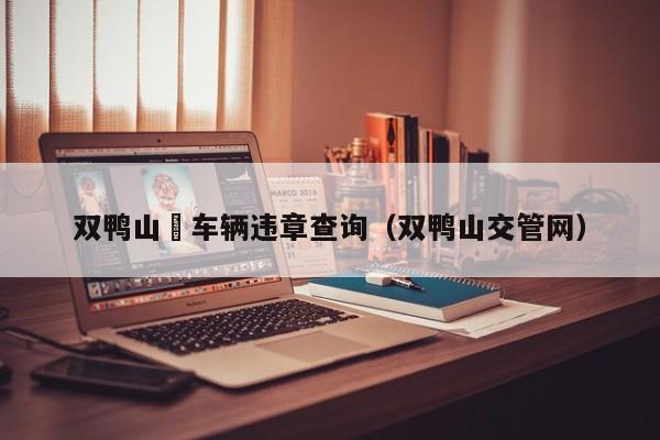 双鸭山帀车辆违章查询（双鸭山交管网）