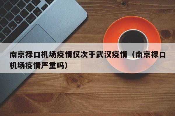 南京禄口机场疫情仅次于武汉疫情（南京禄口机场疫情严重吗）