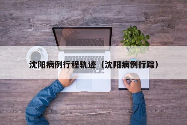 沈阳病例行程轨迹（沈阳病例行踪）