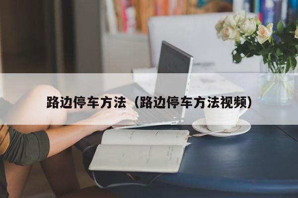 路边停车方法（路边停车方法视频）