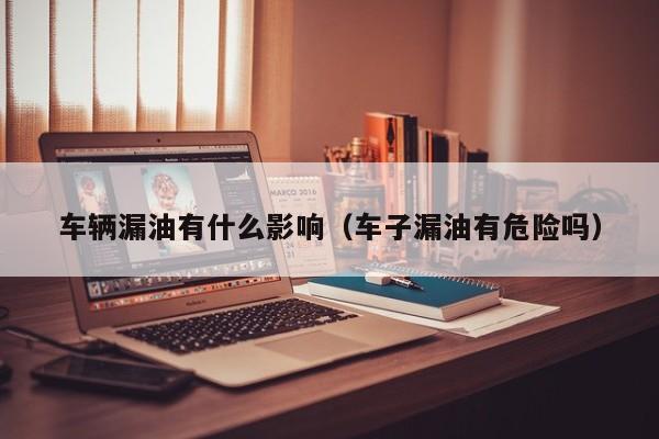 车辆漏油有什么影响（车子漏油有危险吗）