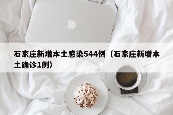 石家庄新增本土感染544例（石家庄新增本土确诊1例）