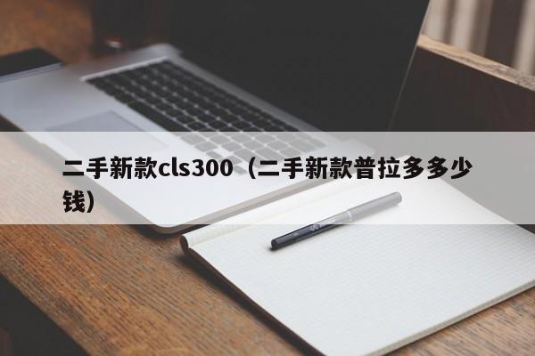 二手新款cls300（二手新款普拉多多少钱）