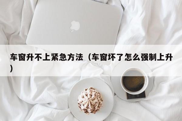 车窗升不上紧急方法（车窗坏了怎么强制上升）
