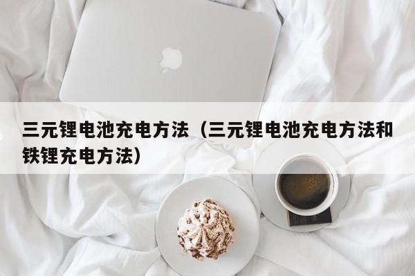 三元锂电池充电方法（三元锂电池充电方法和铁锂充电方法）