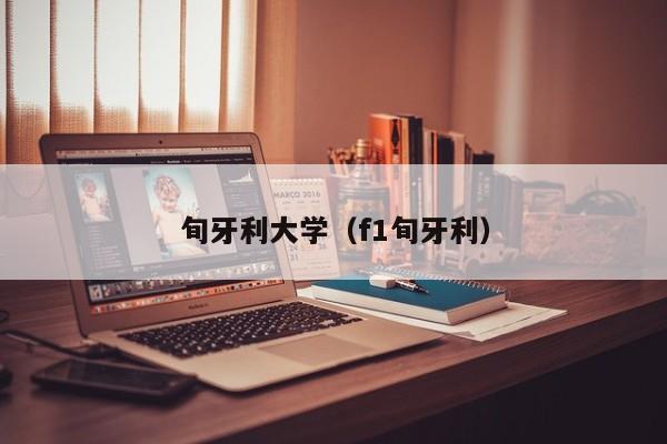 旬牙利大学（f1旬牙利）