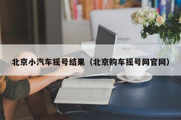 北京小汽车摇号结果（北京购车摇号网官网）