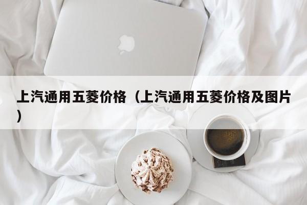 上汽通用五菱价格（上汽通用五菱价格及图片）