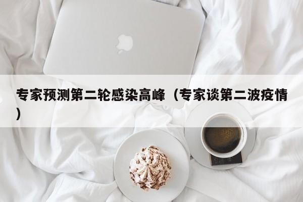 专家预测第二轮感染高峰（专家谈第二波疫情）