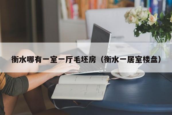 衡水哪有一室一厅毛坯房（衡水一居室楼盘）