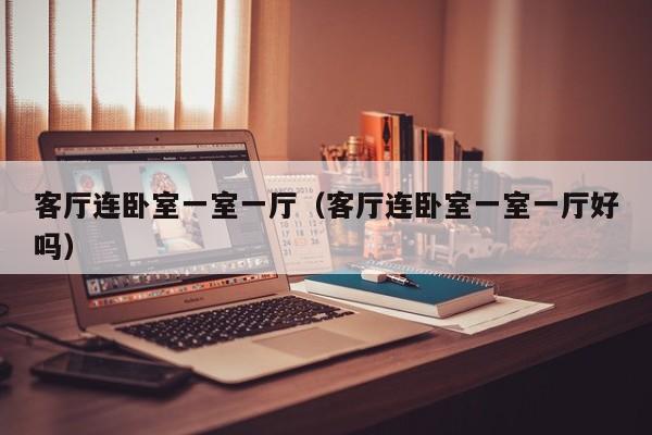 客厅连卧室一室一厅（客厅连卧室一室一厅好吗）